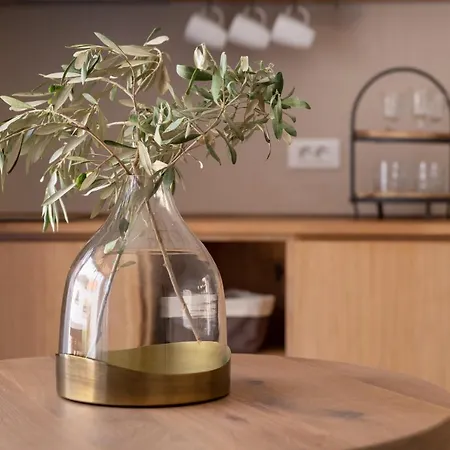 Kaminos Boutique Apartment Symi