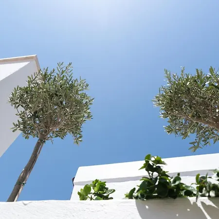 Appartement Kaminos Boutique *