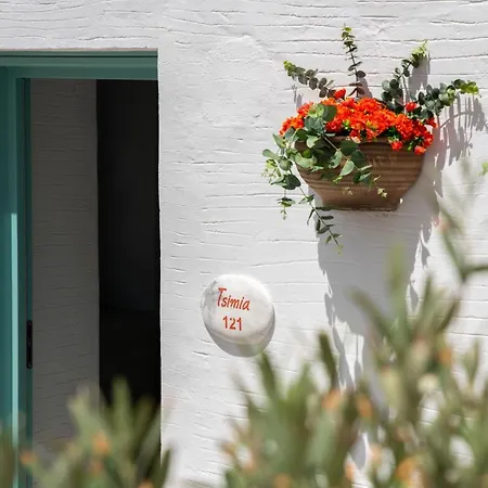 Kaminos Boutique Apartment Symi