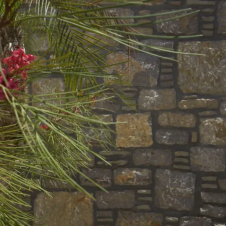 Kaminos Boutique Apartamento Symi