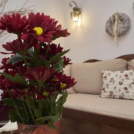Appartement Kaminos Boutique *